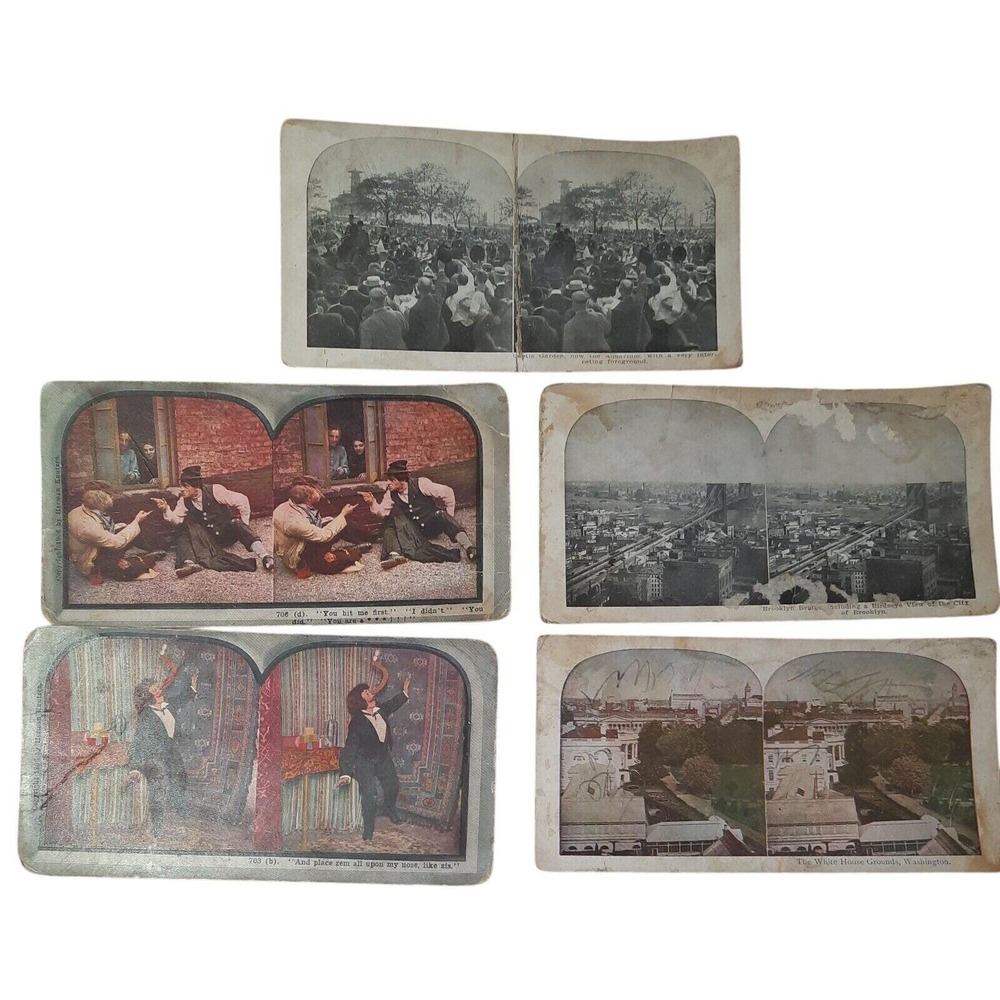 Stereoview Cards Lot White House Brooklyn Bridge Castle‎ Garden Knutzen NYC READ